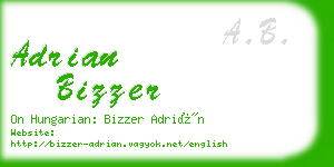 adrian bizzer business card